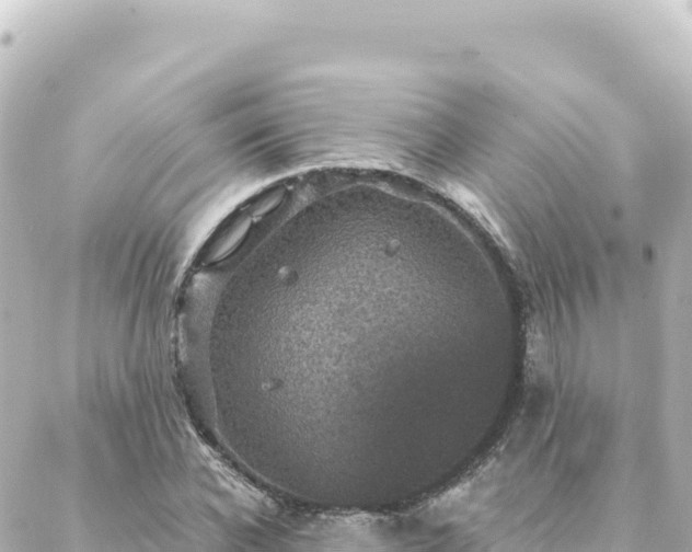 X0000088430926200705291521