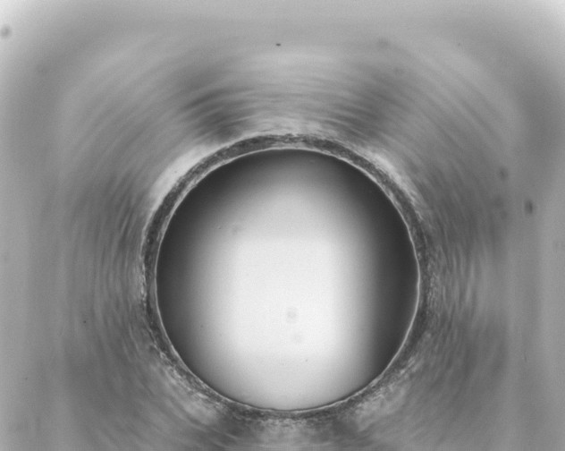 X0000088430927200705291521