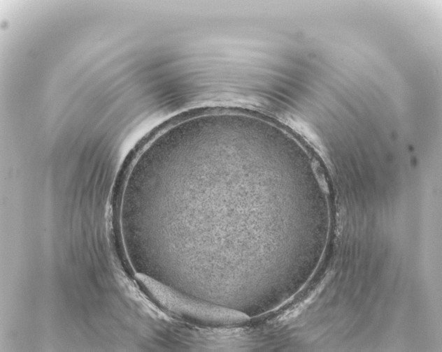 X0000088430928200705291521