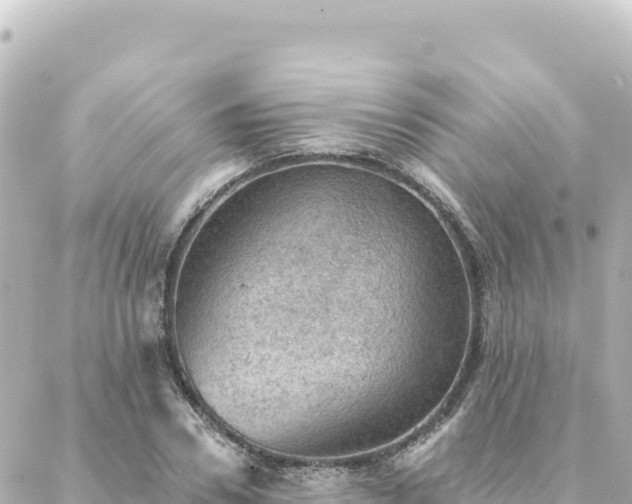 X0000088430930200705291521