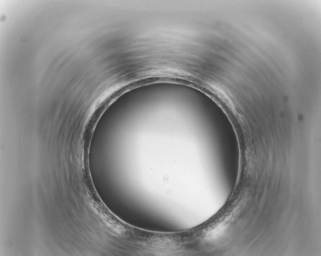 X0000088430931200705291521