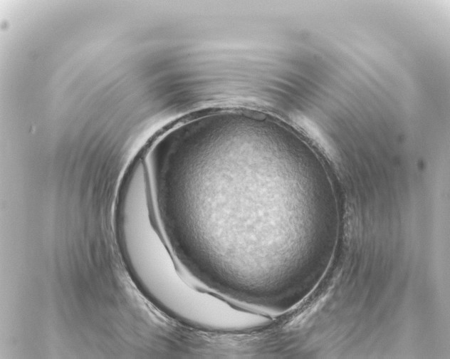 X0000088430932200705291521