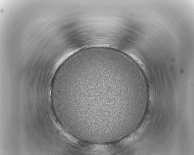 X0000088430933200705291521