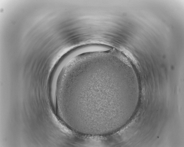 X0000088430934200705291521