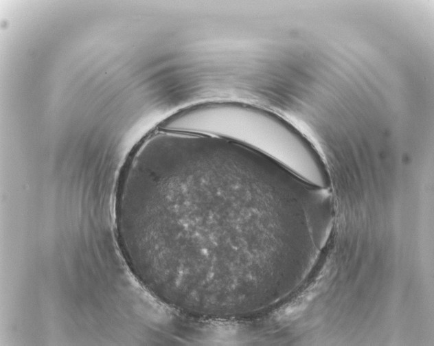 X0000088430935200705291521