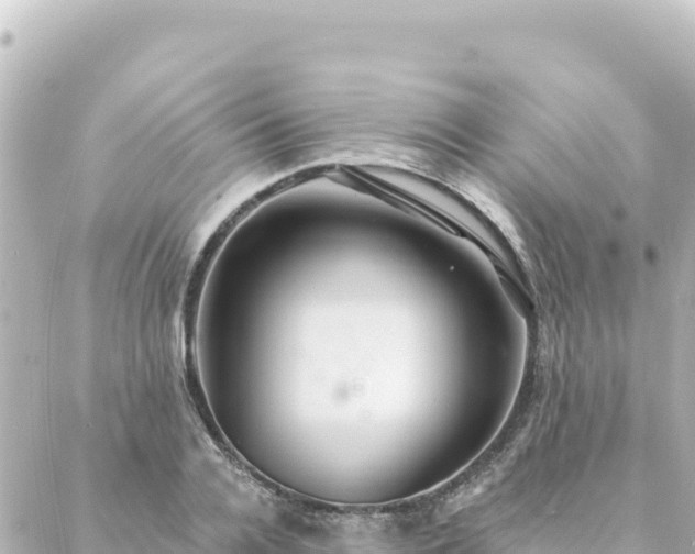 X0000088430936200705291521