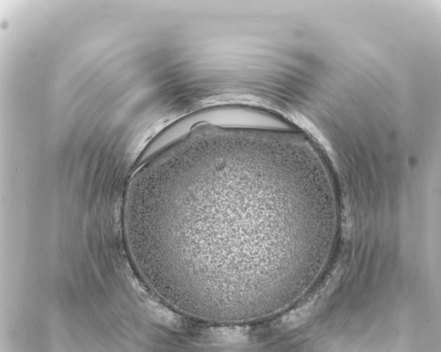 X0000088430937200705291521