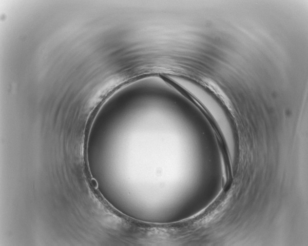 X0000088430938200705291521