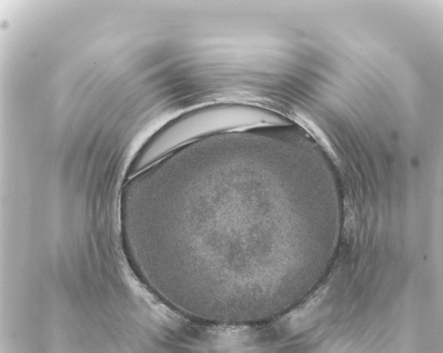 X0000088430939200705291521