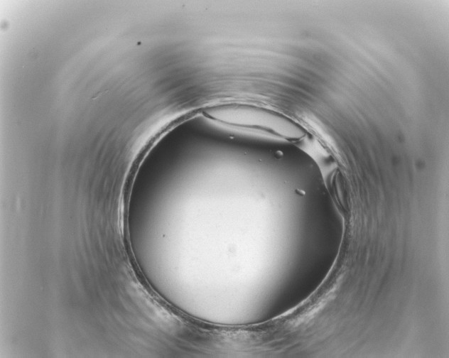 X0000088430940200705291521