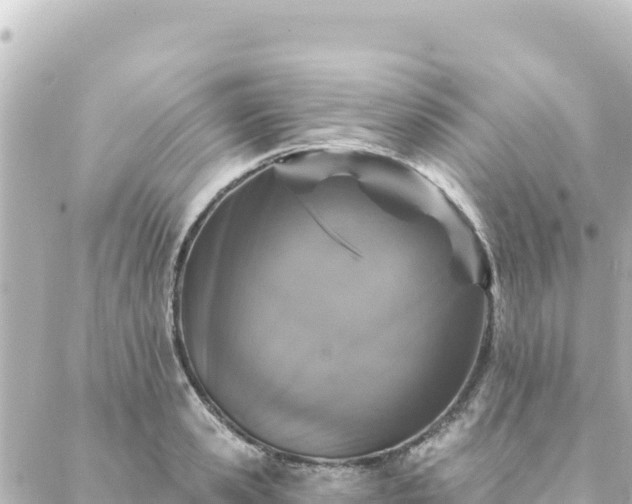 X0000088430941200705291521