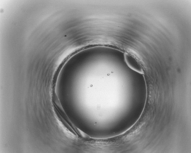 X0000088430942200705291521