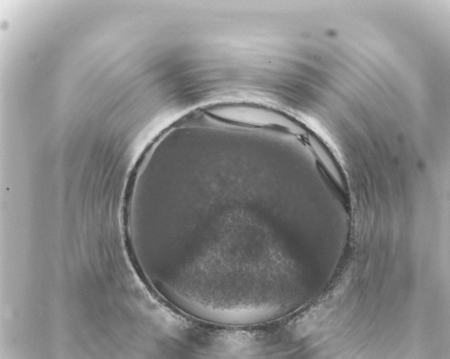 X0000088430943200705291521