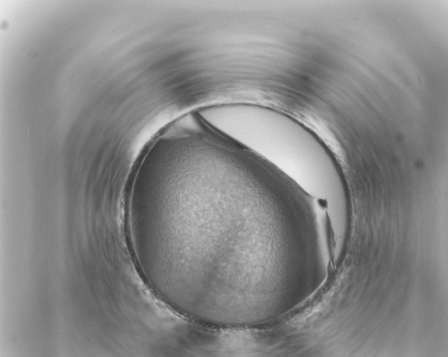 X0000088430944200705291521