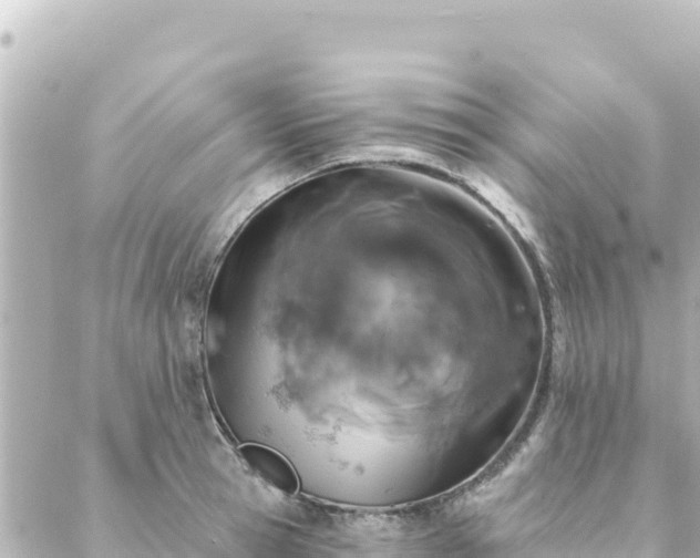 X0000088430945200705291521