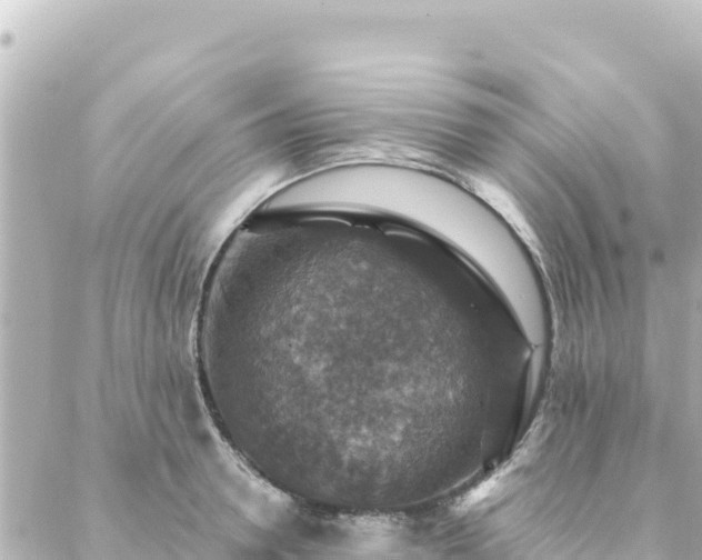 X0000088430946200705291521