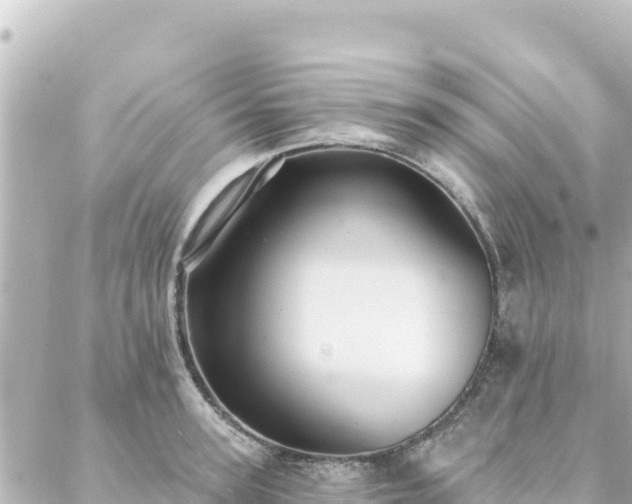 X0000088430947200705291521