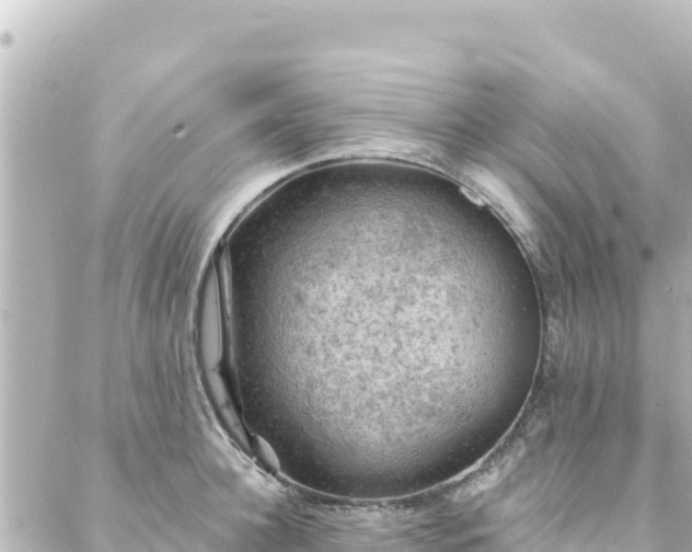 X0000088430948200705291521