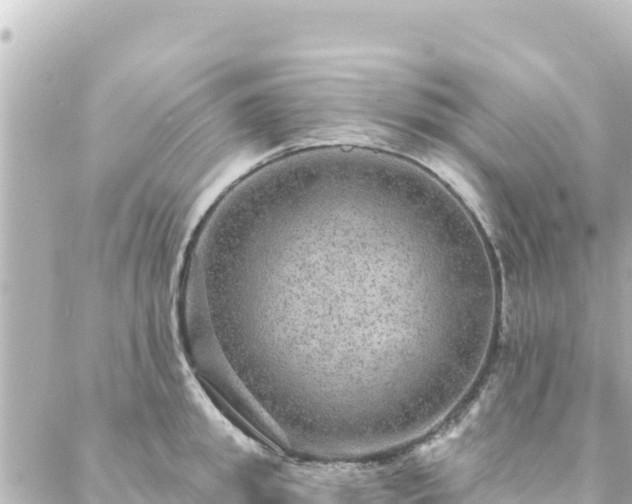 X0000088430949200705291521