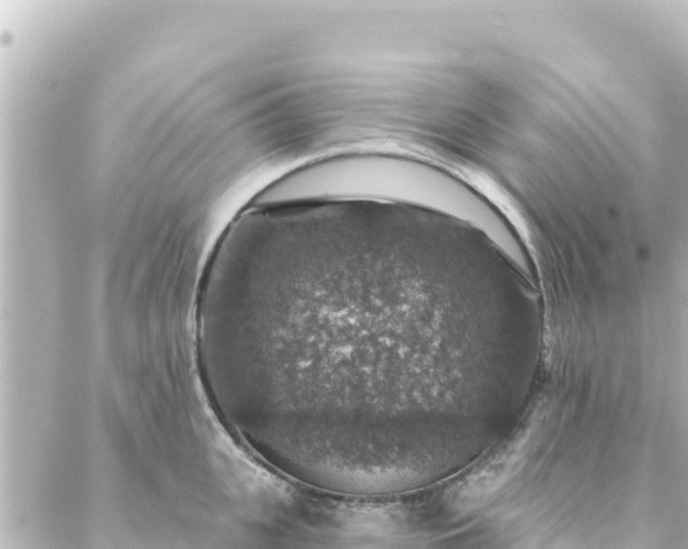 X0000088430951200705291521