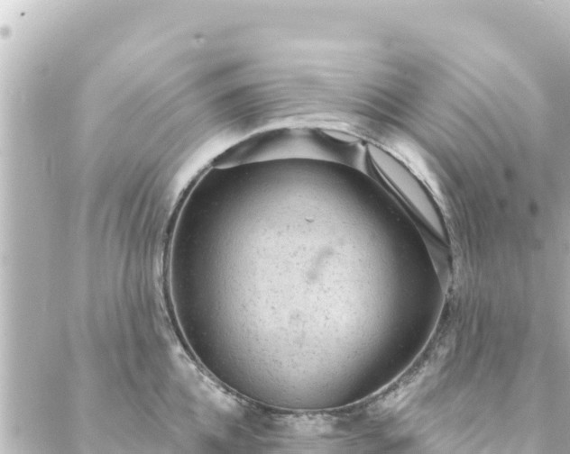 X0000088430952200705291521