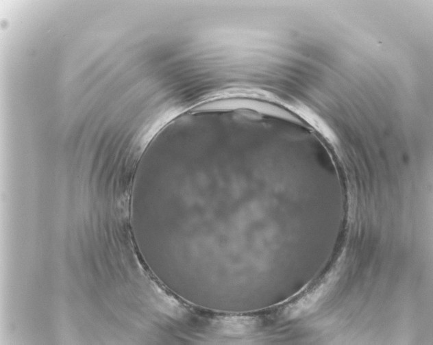 X0000088430953200705291522