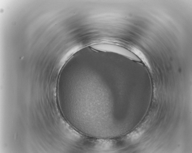 X0000088430954200705291522