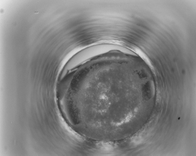 X0000088430955200705291522