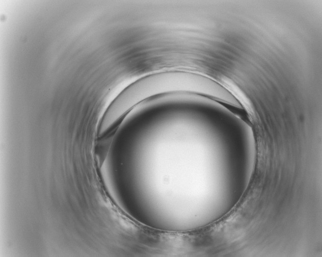 X0000088430956200705291522