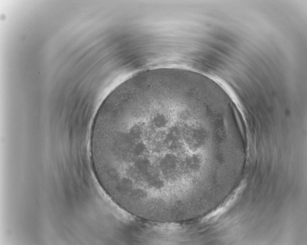 X0000088430957200705291522