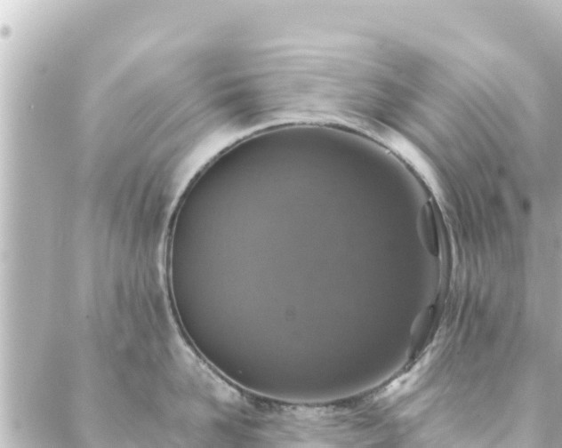 X0000088430958200705291522