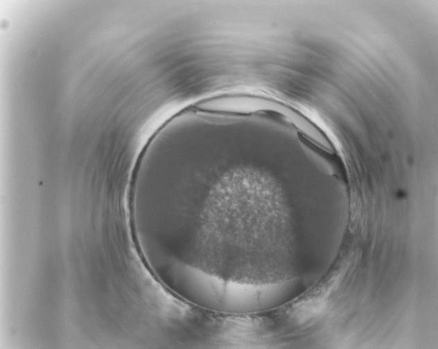 X0000088430959200705291522