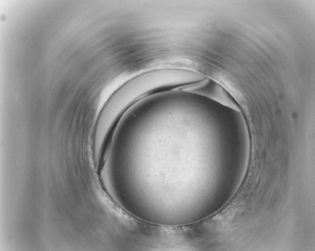 X0000088430960200705291522