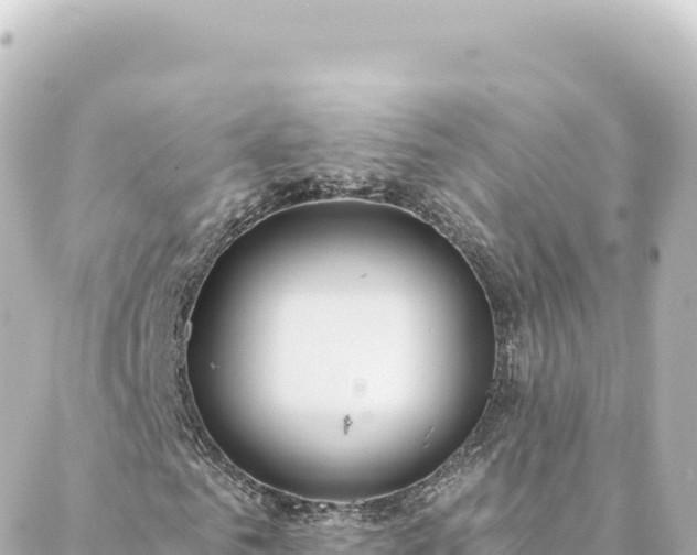 X0000088430961200705291521