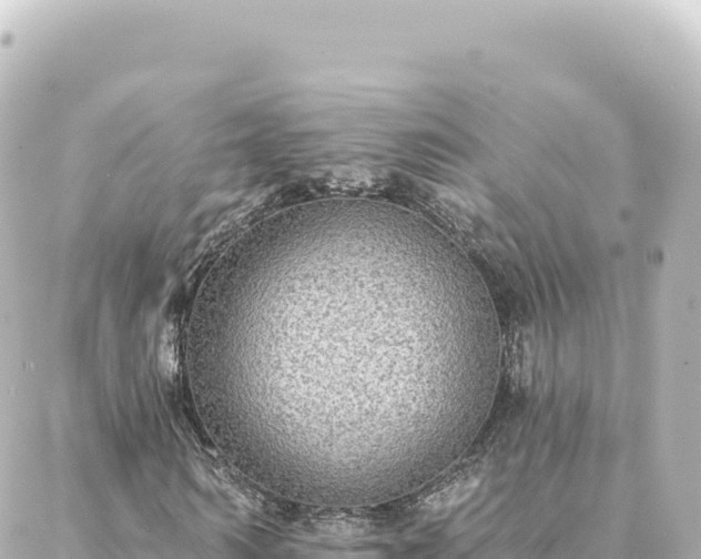 X0000088430962200705291521