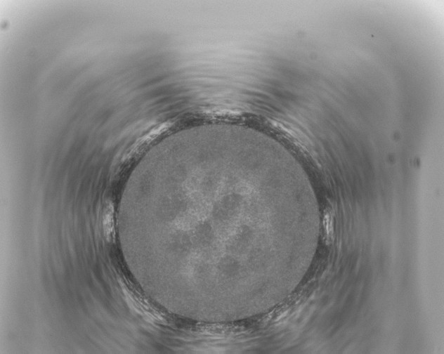 X0000088430963200705291521