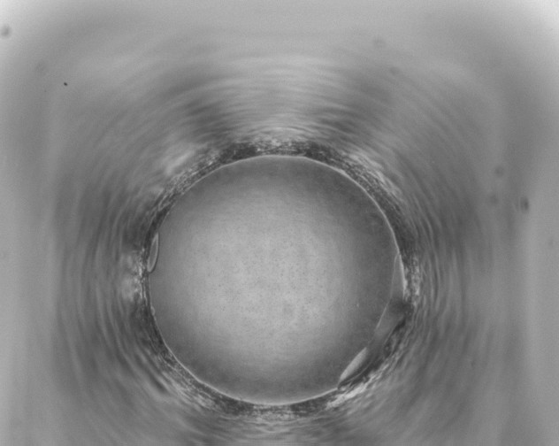 X0000088430964200705291521