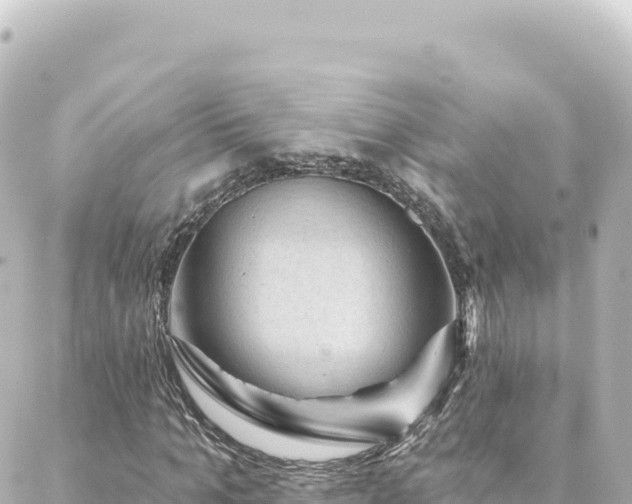 X0000088430965200705291521