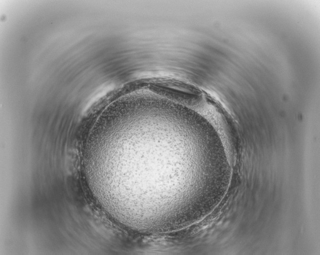 X0000088430967200705291521