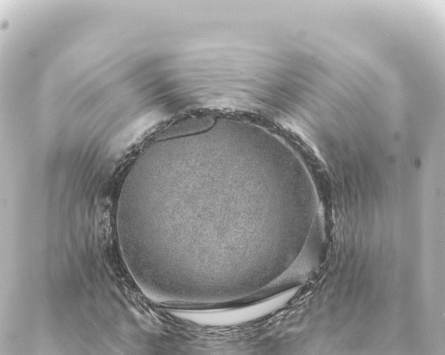 X0000088430968200705291521