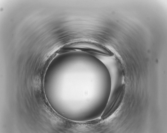 X0000088430969200705291521