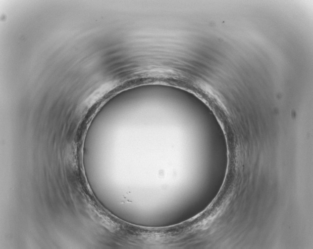 X0000088430970200705291521