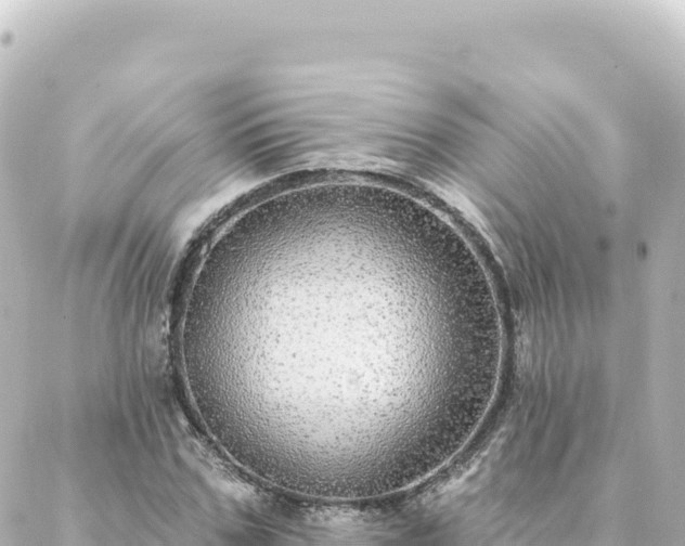 X0000088430971200705291521