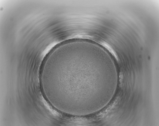 X0000088430972200705291521