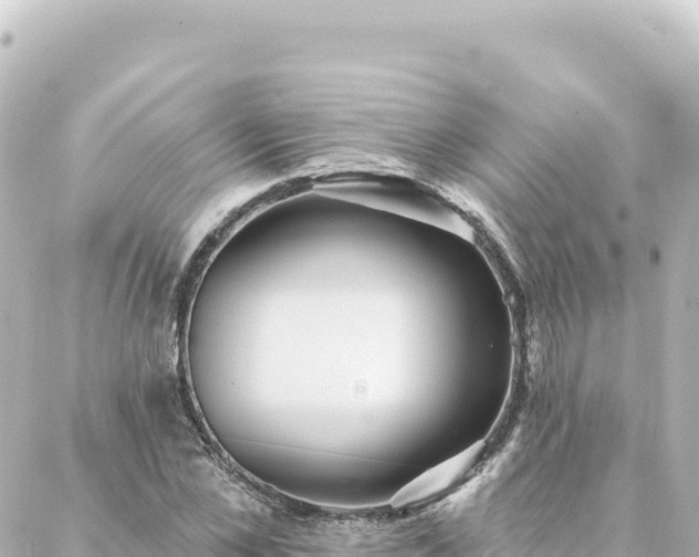 X0000088430973200705291521