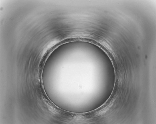 X0000088430974200705291521