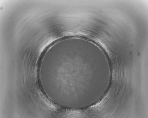 X0000088430975200705291521