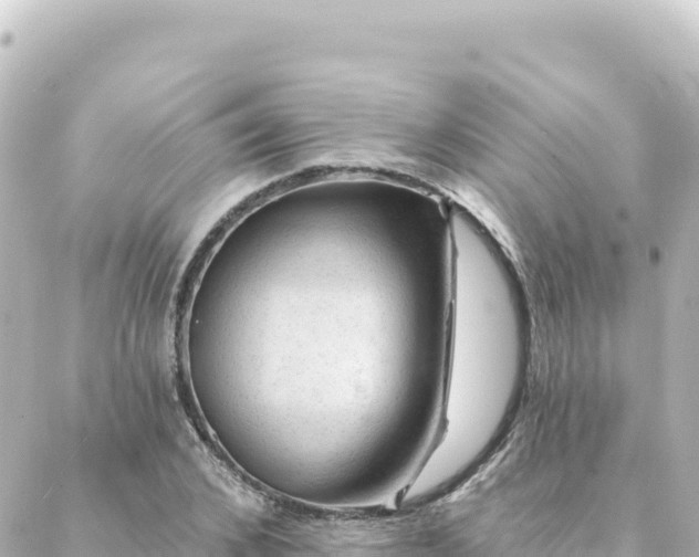 X0000088430976200705291521