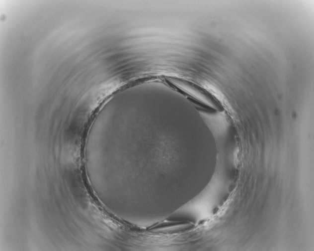 X0000088430977200705291521