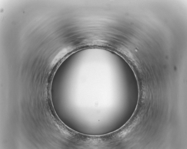 X0000088430978200705291521